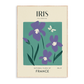 Iris of France Art Print