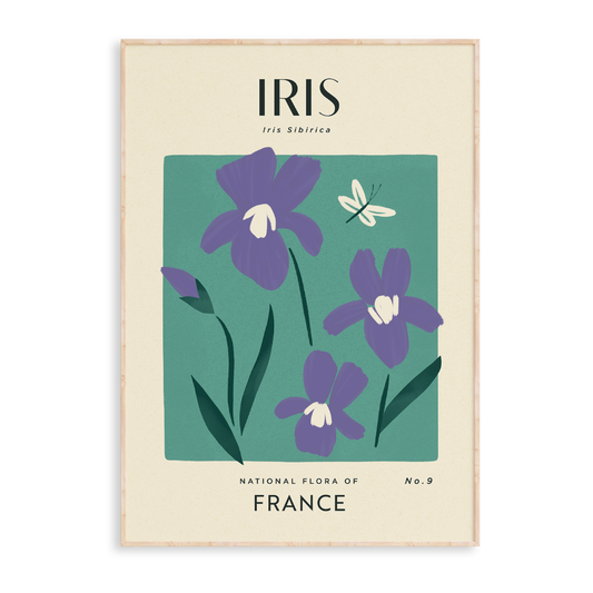 Iris of France Art Print