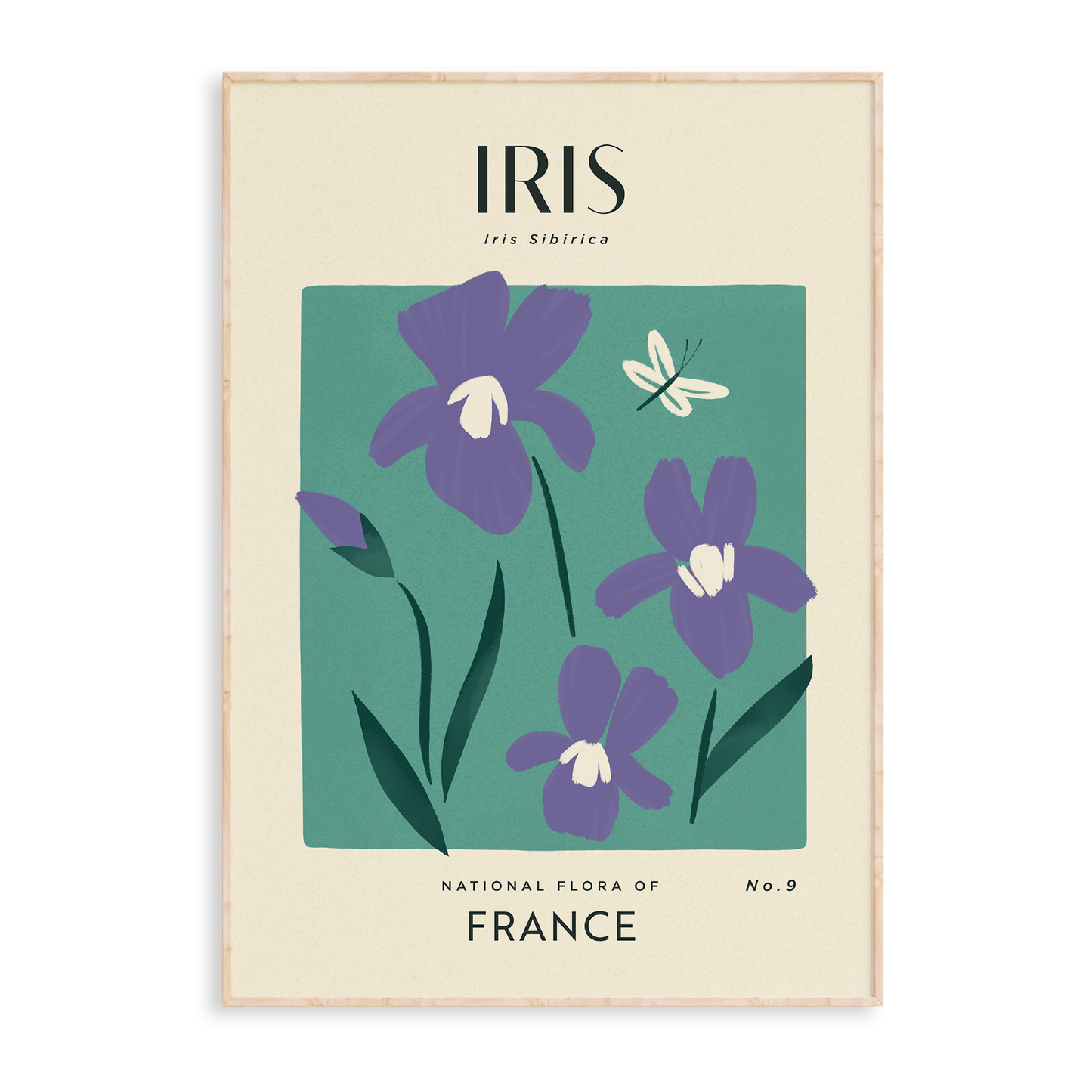 Iris of France Art Print