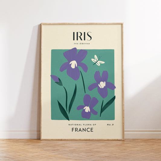 Iris of France Art Print