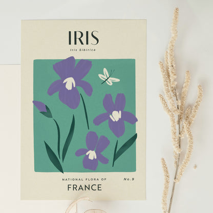 Iris of France Art Print