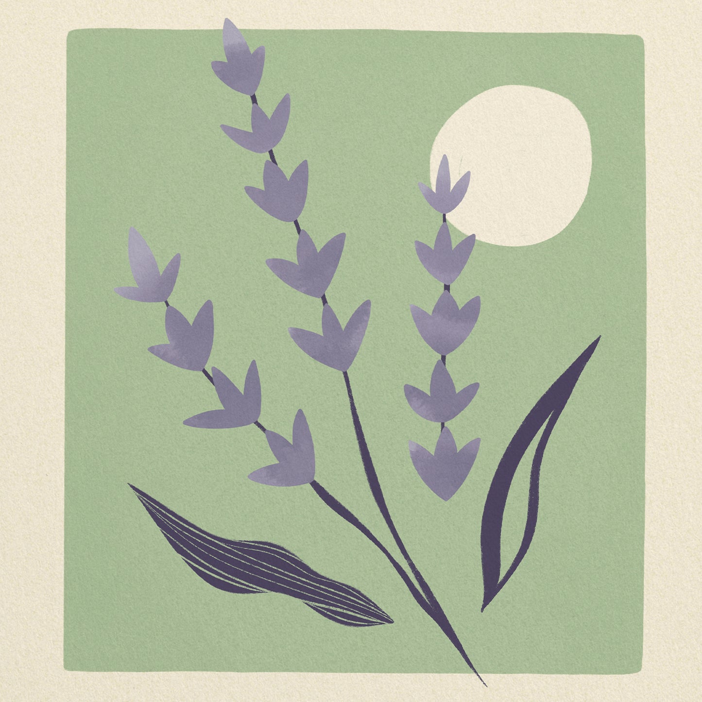 Lavender of Portugal Art Print