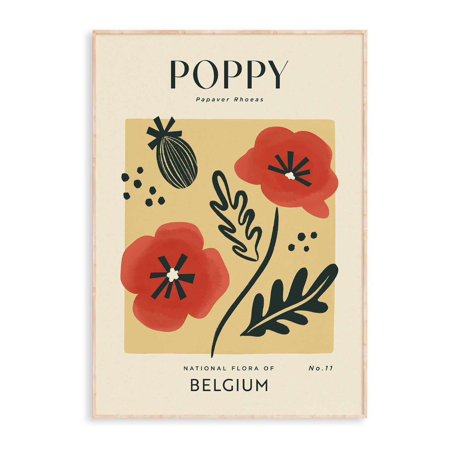 Poppy of Belgium Art Print