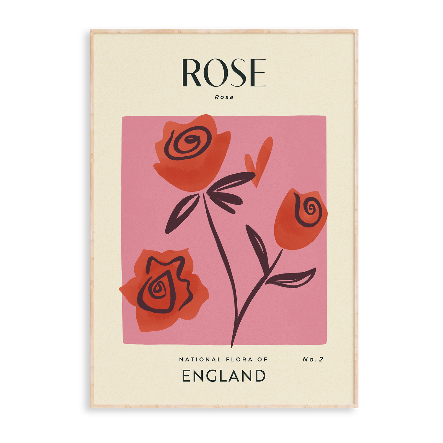 Rose of England Art Print