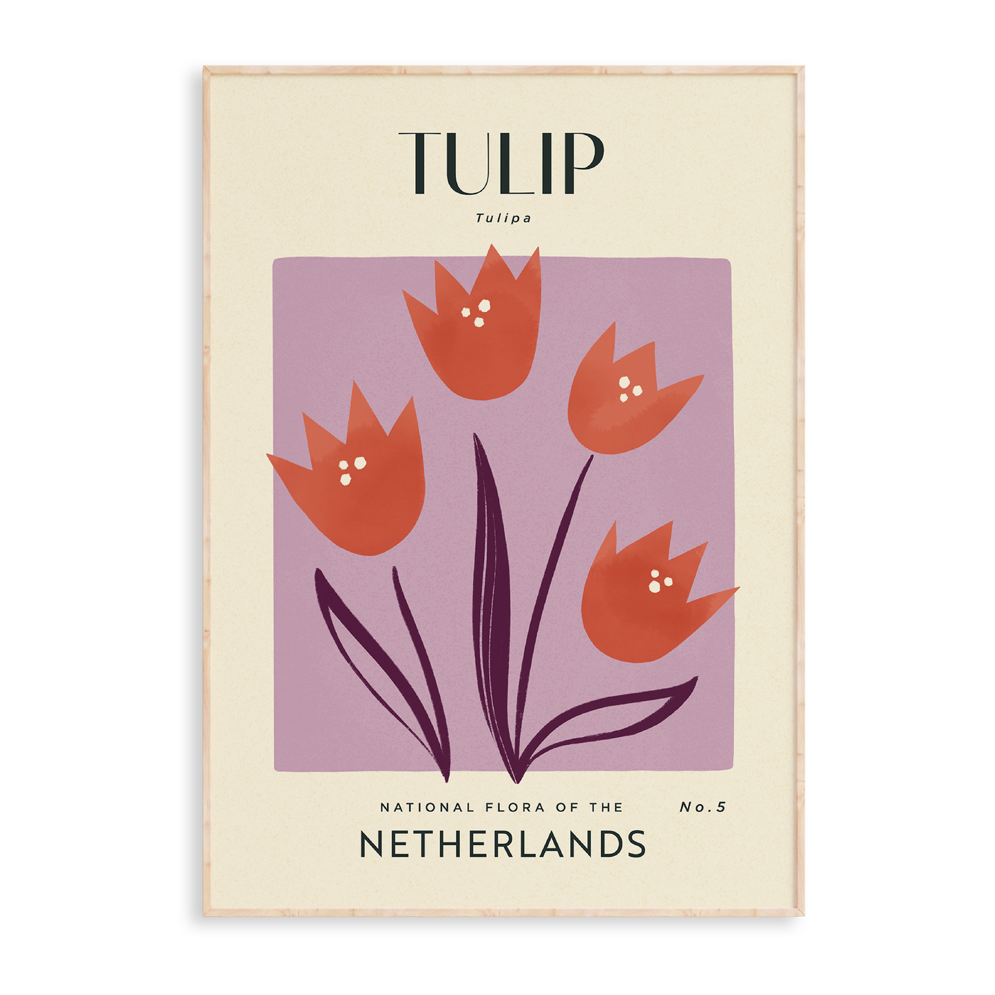Tulip of The Netherlands Art Print