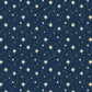 Star Gazer Christmas Eco Gift Wrap