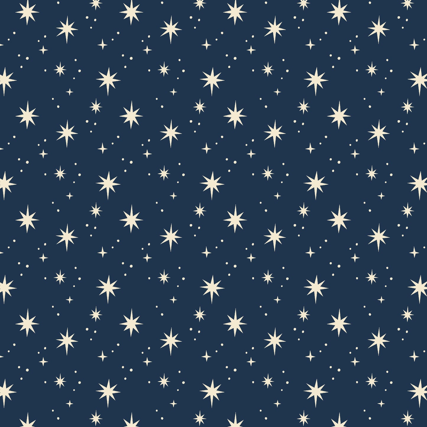Star Gazer Christmas Eco Gift Wrap